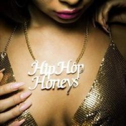 Hip Hop Honeys Hardcover