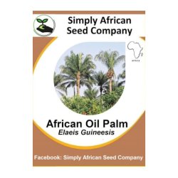 Palm African Oil Elaeis Guineesis 3'S