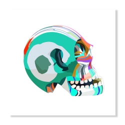 Flip Flop Skull Turquoise Art Print - A1