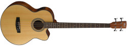 Cort SJB5F Acoustic Bass Guitar