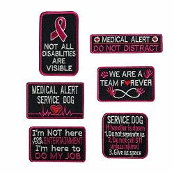 Bundle 6 Pieces Service Dog I'm Working Service Dog Working In Training Do Not Touch Full Embroidered Morale Patch For Dogs And Pets E-6 Pcs Pink