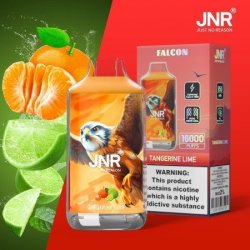 Jnr Vapor - Falcon Tangerine Lime 5% Nic 16000 Puff 10PCS