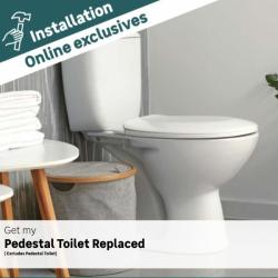 Installation - Pedestal Toilet Installation