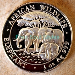 2013 Somalia Republic African Elephant 1oz .999 Silver