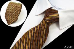 Men's Silk Ties - Brown