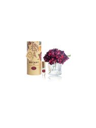 1 Red Hydrangea & Vintage Spice Fragrance Gift Set