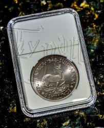 In Stock Ngc Styled Coin Display Slab For 38.5MM Coins