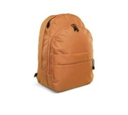 Student Backpack - Orange
