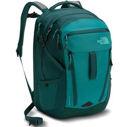 surge laptop backpack