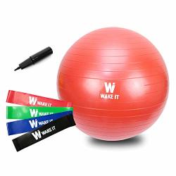 Werkit Exercise Ball 55CM - Anti-burst Stability Ball & Resistance Band Sets - Fitness Pilates Birthing Therapy Office Ball Chair Classroom Flexible Seating