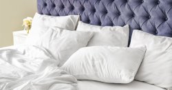 Bulk Pack 10 - Standard Pillow Cases - Microfresh - Plain - White