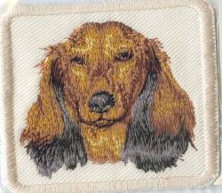 Embroidered Sew On Cream Badge.long Daschund