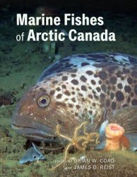 Marine Fishes Of Arctic Canada Hardcover
