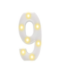 LED Number Light 9