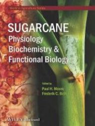 Sugarcane: Physiology Biochemistry & Functional Biology Hardcover