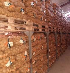 Valor Seed Potatoes Bulk Packs 5KG 10KG & 25KG - 5KG