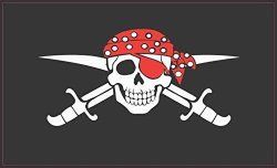 5IN X 3IN Red Bandanna Jolly Roger Flag Magnet Pirate Car Bumper Magnets By Stickertalk