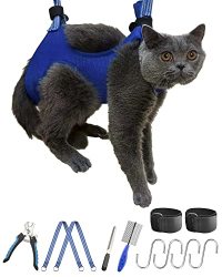 cat nail clipping harness