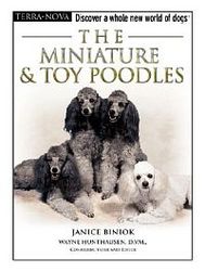 The toy & miniature poodle