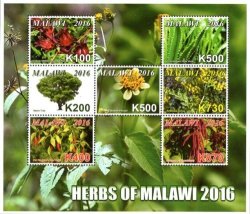 Malawi - 2016 Herbs Of Malawi Sheetlet Mnh
