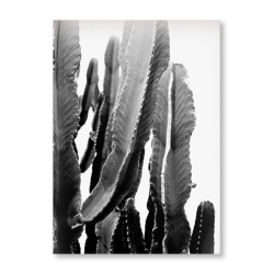 Fat Cactus Art Print - A1