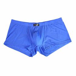 DEESEE TM Men's Underwearssexy Ice Silk Letter Printed Boxer Briefs Shorts Bulge Pouch Underpants M Blue