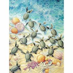 Diy Oil Paint By Number Kit For Adults Beginner 16X20 Inch - Seaside Beach Turtles Shell Drawing With Brushes Christmas Decor Decorations Gifts Framed