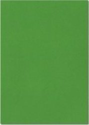 A4 Bright Paper 80GSM Christmas Green 100 Sheets
