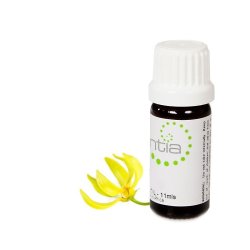 Escentia Ylang Ylang III Pure Essential Oil - 10ML