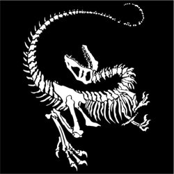 Dinosaur Skeleton Mens T-Shirt Black Small