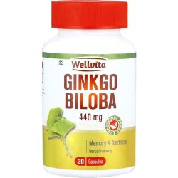 Wellvita 440MG Gingko Biloba Memory & Alertness Herbal Remedy Capsules 30 Capsules