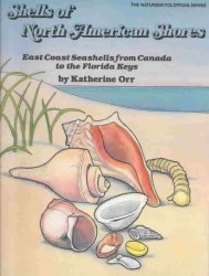 Shells Of North American Shores - Katherine Orr Paperback