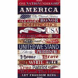 Timeless Treasures Fabrics Land Of The Free Usa I Pledge Allegiance Panel