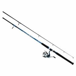 Daiwa 958780 D-wave Saltwater Spin Combo 3BB SZ50 10' 2PC Med