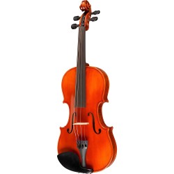 Ren Wei Shi Concert Model Violin Outfit Outfit 4 4 Size