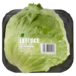 Crisp Lettuce Head Pack