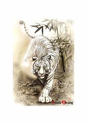 Puzzlelife White Tiger 1000 Piece - Large Format Jigsaw Puzzle. Can Be Enjoyed Puzzle Game By All Generation. Beautiful Decoration Pleasant Play. Free Bonus Poster