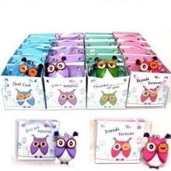 Owl Keyring In A Bag - Thinking Of You