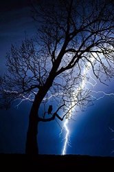 Gifts Delight Laminated 24X36 Inches Poster: Thunderstorm Flash Weather Sky Threatening Flash Of Lightning Force Of Nature Mood Night Storm Tree Landscape Owl Discharge