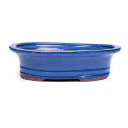 Assorted Glazed Bonsai Pots 12" - Blue Banded Oval With Lip 30 X 23 X 8CM