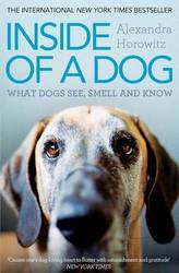 Inside Of A Dog: What Dogs See Smell And Know