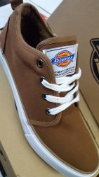 A Beauty The Dickies Chase Lo Toffee And Blue - Shipping