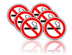 No Smoking Stickers Car Window Decal 2 In. Pack Of 6- Ideal For Taxis Rental Vehicles And Company Cars