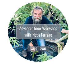 Advanced Grow Workshop With Natie Ferreira Cape Town - 12 Oct 2024