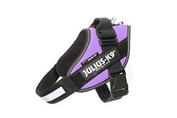 JULIUS-K9 Idc-power Harness Purple Size: 0 58-76 CM 23-30