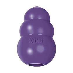 kong senior dog toy