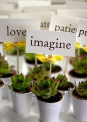 Wedding Favours - Going Green Gifts