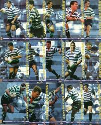 1996 Sports Deck Currie Cup Collection - Western Province Base Cards Full Set 17 Cards