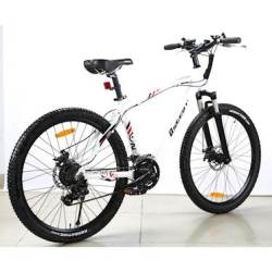 Tailg electric bike online price