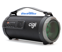 cigii speaker price